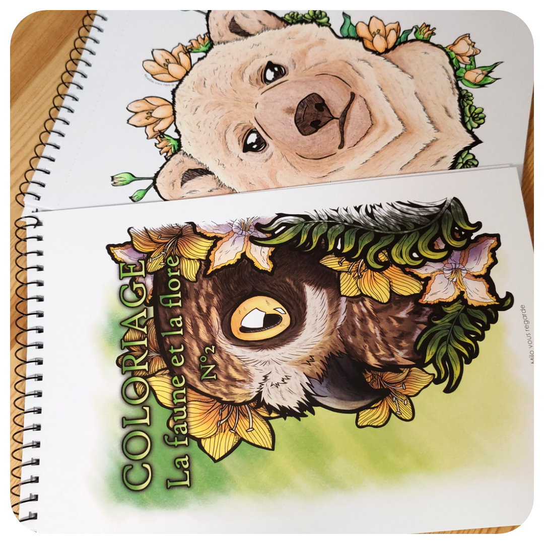 La faune et la flore N°2