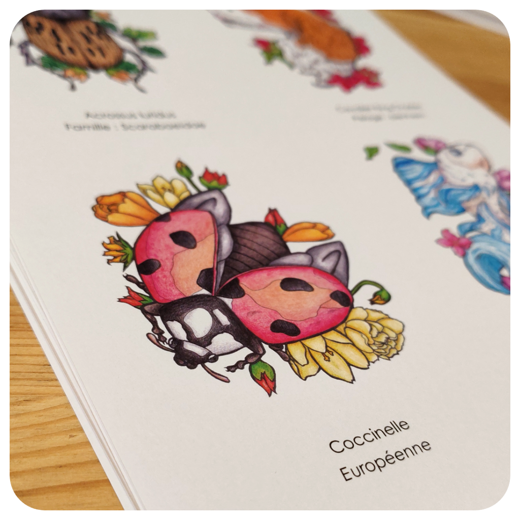 La faune et la flore N°1 (PDF)