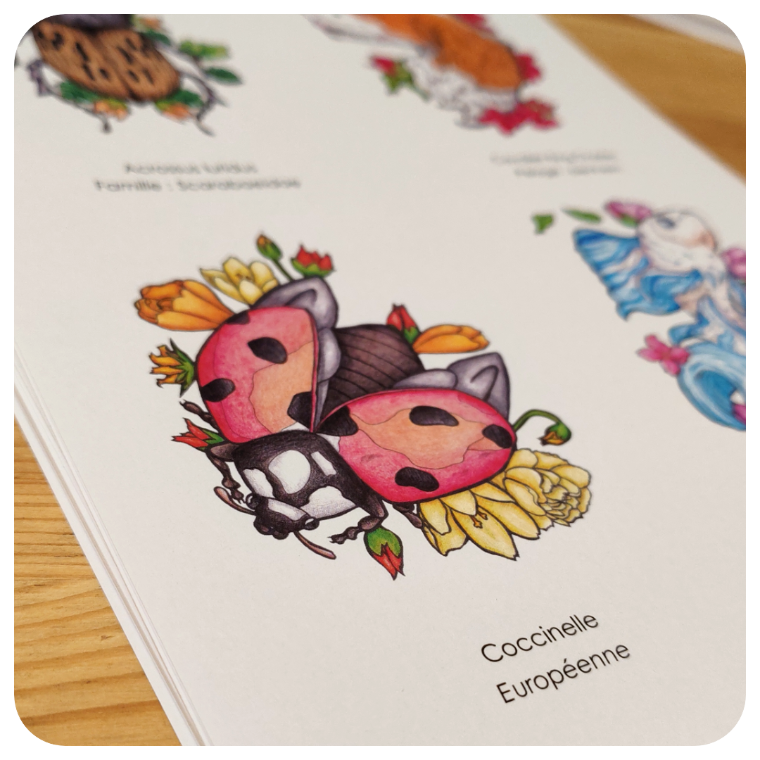 La faune et la flore N°1 (PDF)